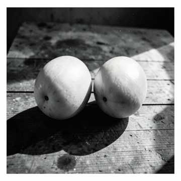 Melons